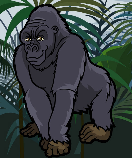 bbc newsround animal rescue gorilla